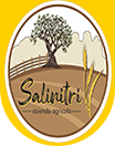 Logo-Salinitri-2.0